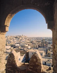 View of the City